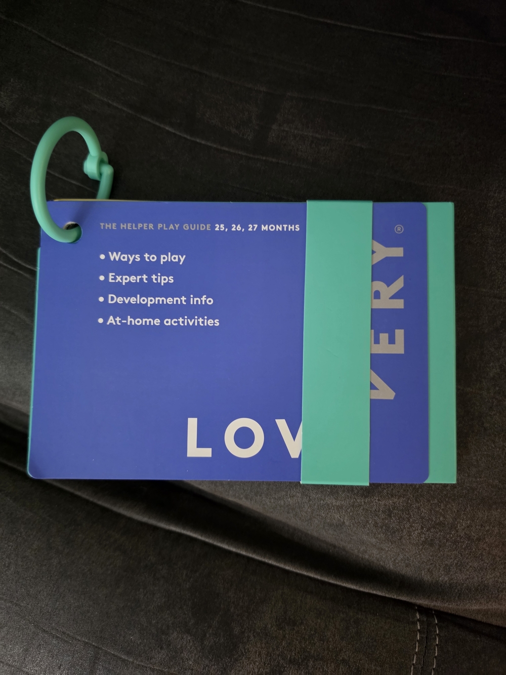 LOVEVERY Play Guide - Blue & Teal Baby Activity Cards The Helper - Months 25-27